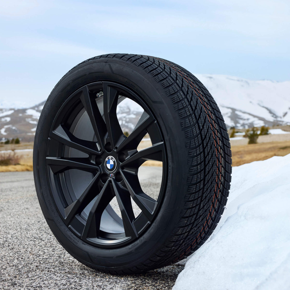Koła zimowe BMW 20" M Performance Double Spoke 1048M iX3 (NA5) 36115B778F7