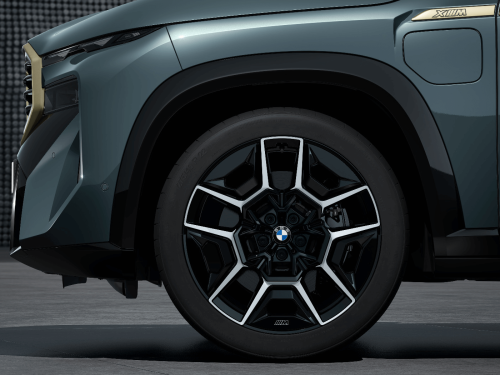 Koła zimowe BMW 22” M Double Spoke 922M XM (G09) 36115A66194/197