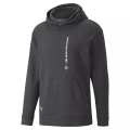 Bluza z kapturem BMW M Motorsport Graphic Hoodie TR PU 53426301